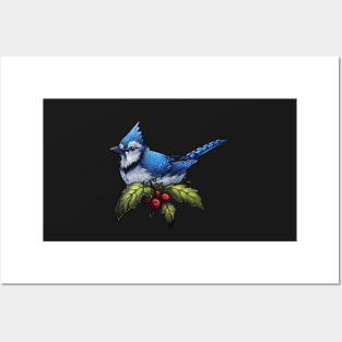 Holiday Bird American Blue Jay Posters and Art